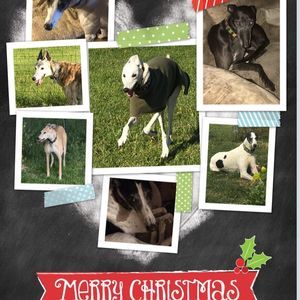 Meet your Posher, Terry